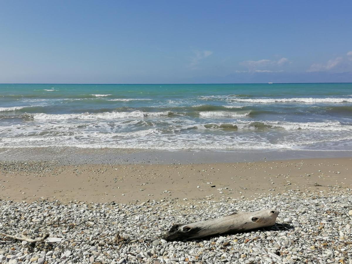 Agapi Studio Acharavi A 50M De La Mer, 400M Du Centre Ville Kültér fotó