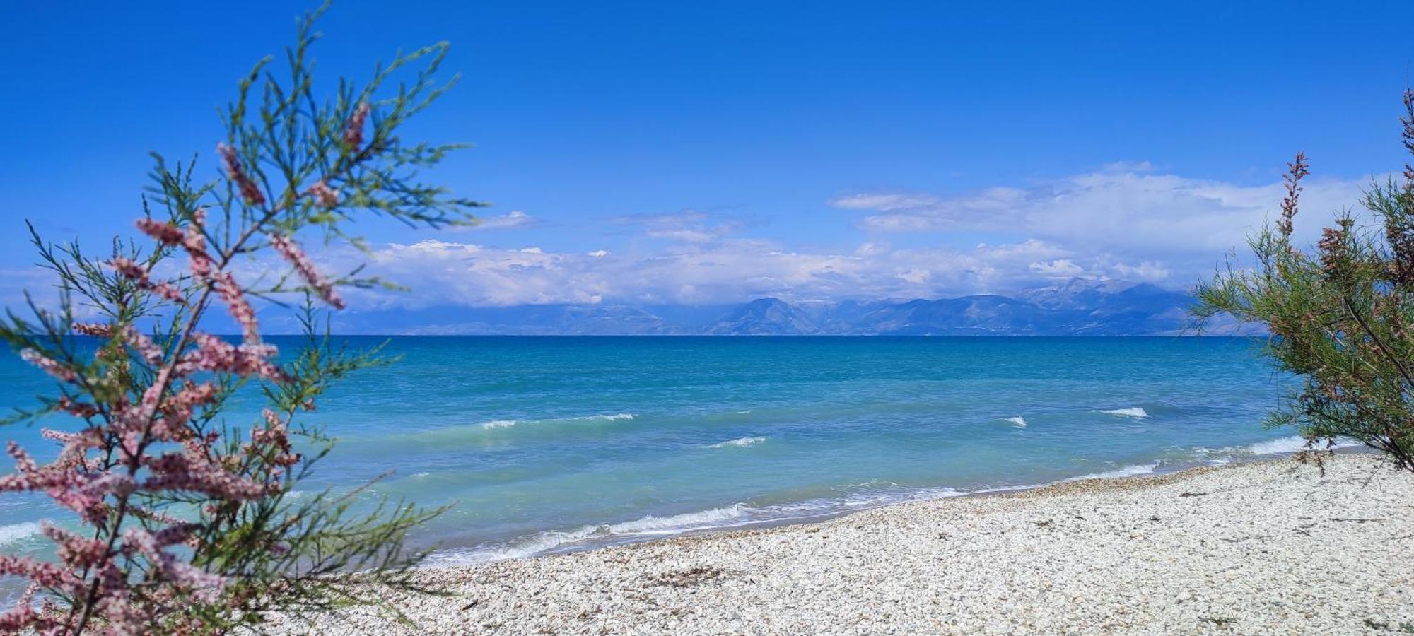 Agapi Studio Acharavi A 50M De La Mer, 400M Du Centre Ville Kültér fotó