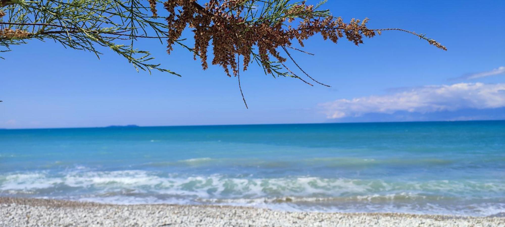 Agapi Studio Acharavi A 50M De La Mer, 400M Du Centre Ville Kültér fotó